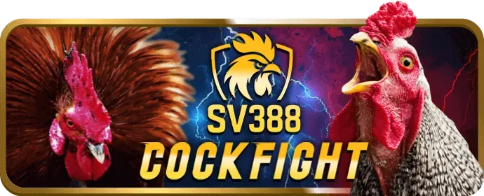 Hỗ trợ khách hàng 24/7 thbbet